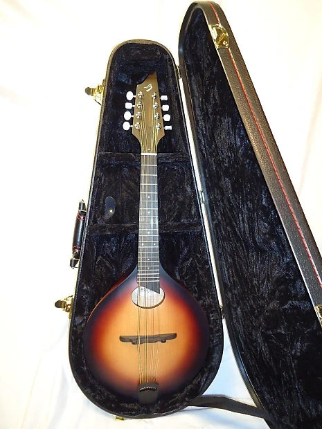 American OO VTG mandolin w/ case
