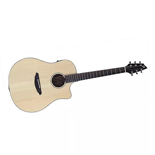 Breedlove Passport D250/SMe w/ bag
