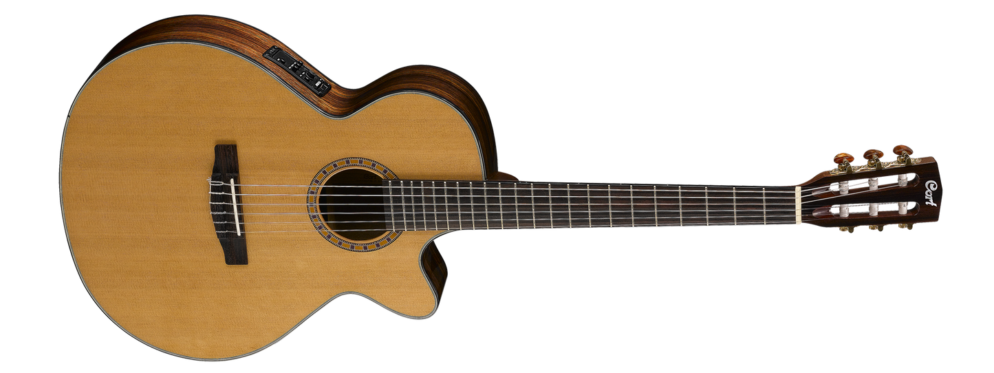 Cort Accoustic Guitar String