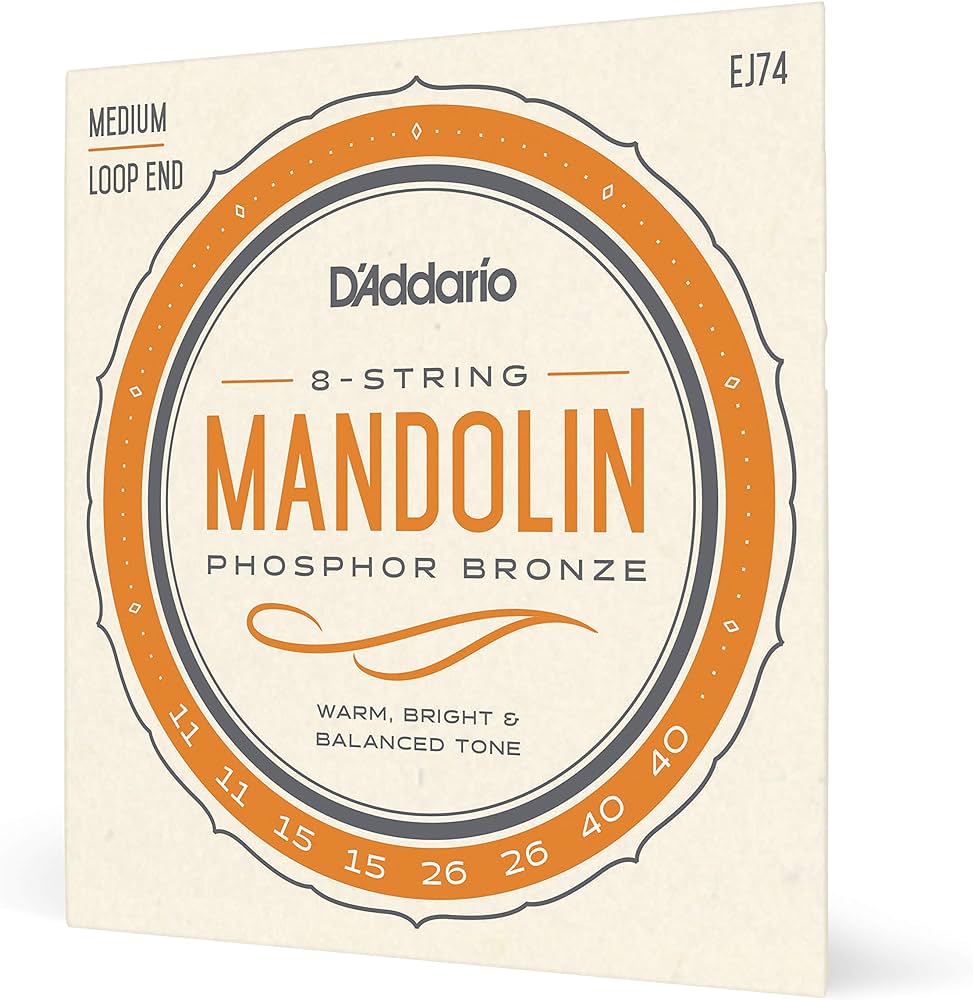 D'Addario 8 String Mandolin EJ74