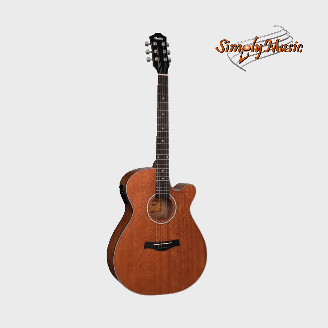 Shelby Rental Guitar - Model No. NW-20/1