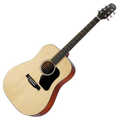 Hawthorne Walden HD220 guitar