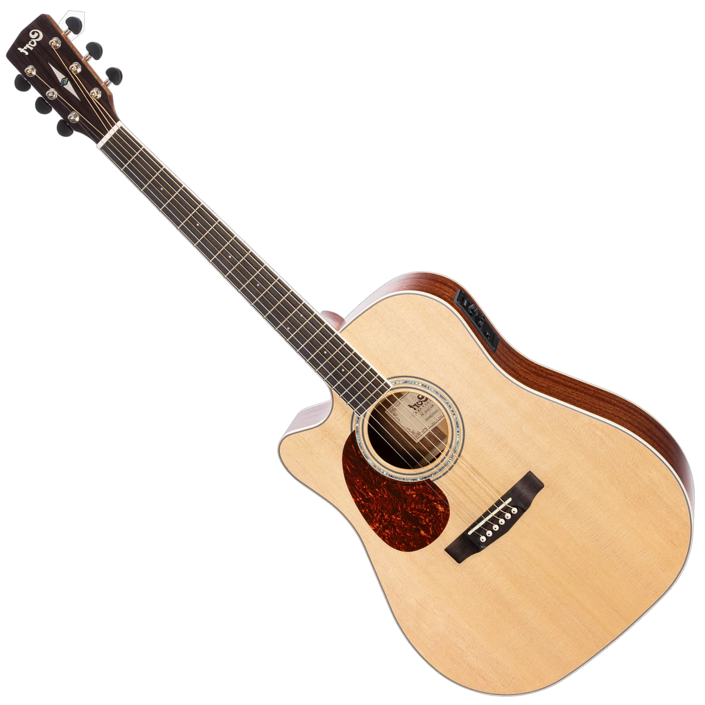 Cort Left Hand Guitar
