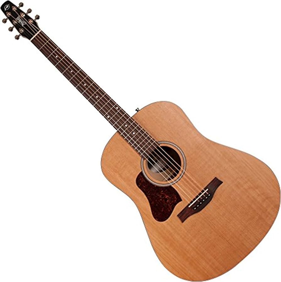Seagull S6 Orignal Left