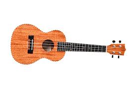Twisted Wood Original Soprano Ukulele with bag