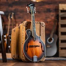 Washburn Mandolin F Style with Bag