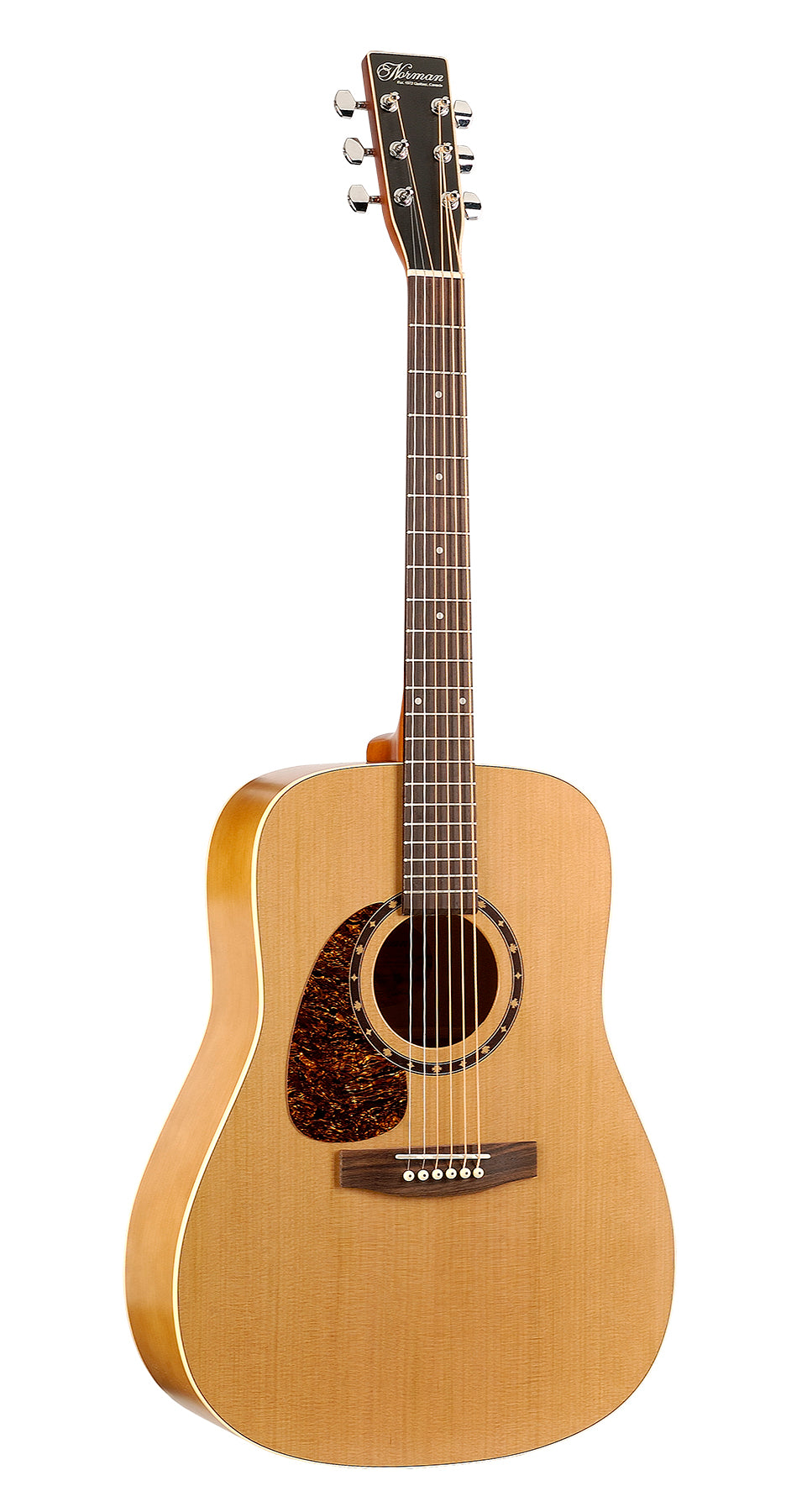 Norman Protege B18 Cedar Left Handed With Bag