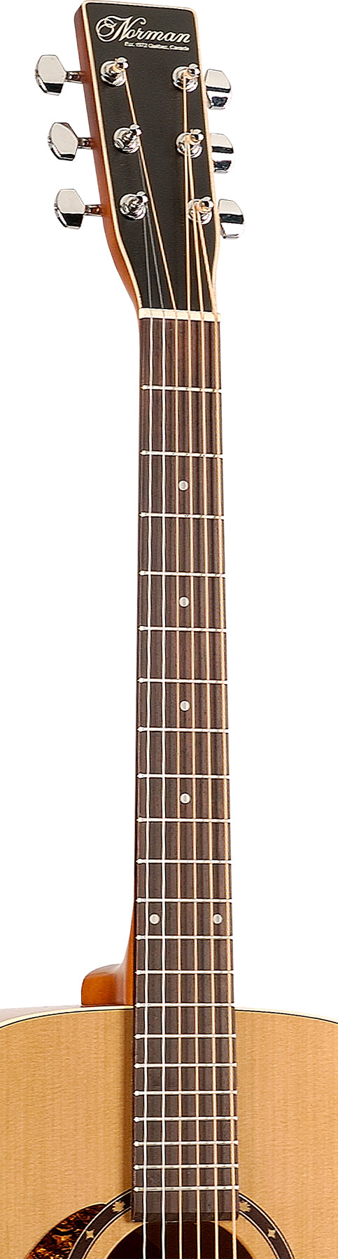 Norman Protege B18 Cedar Left Handed With Bag