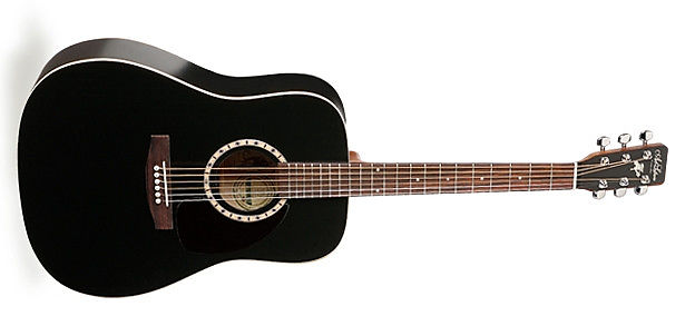 A&L Cedar Black Guitar