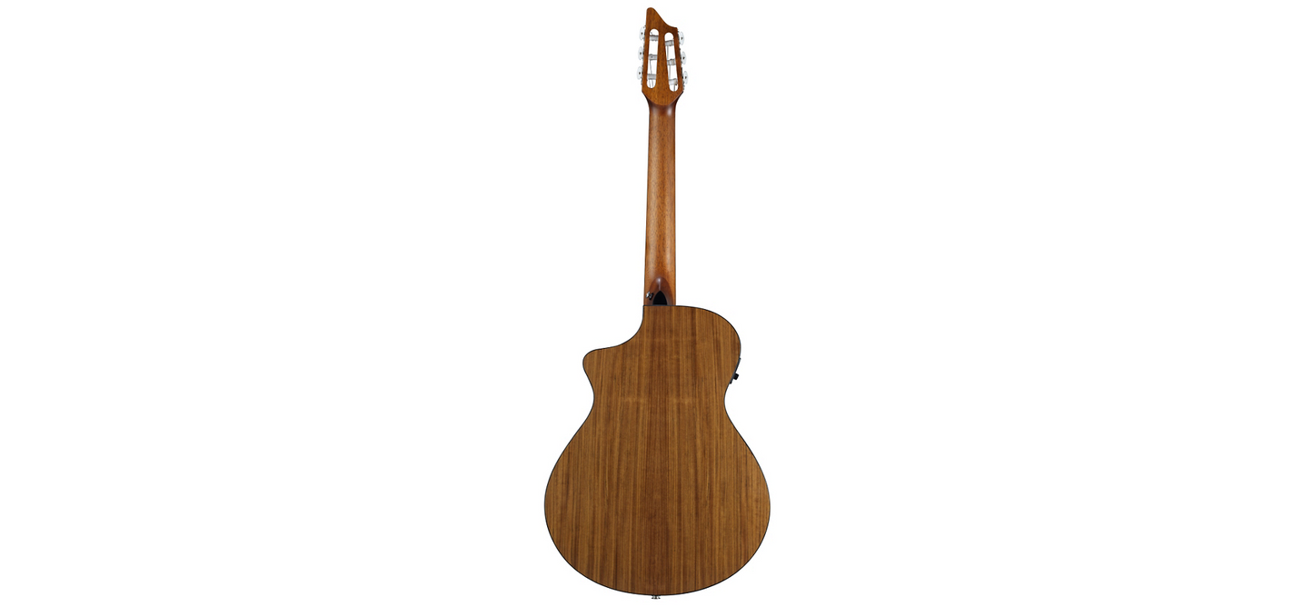Breedlove Passport N250/COe with bag