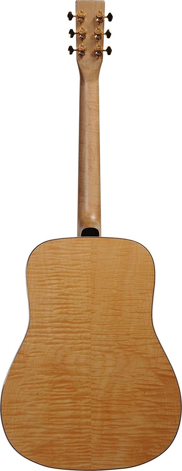 Norman Studio B50
