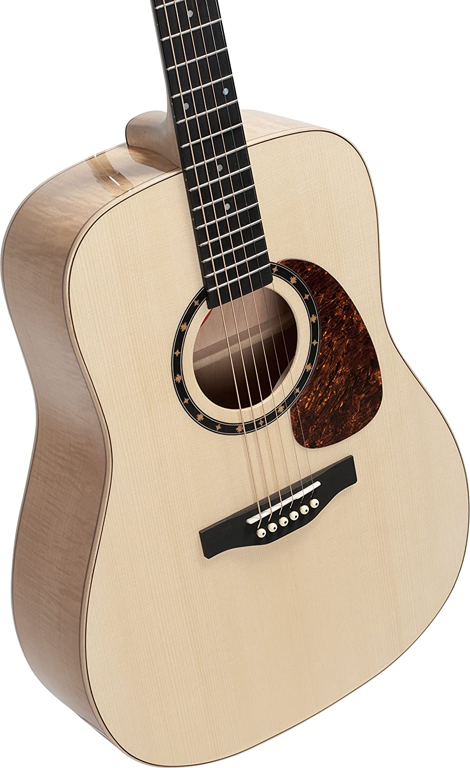 Norman Studio B50