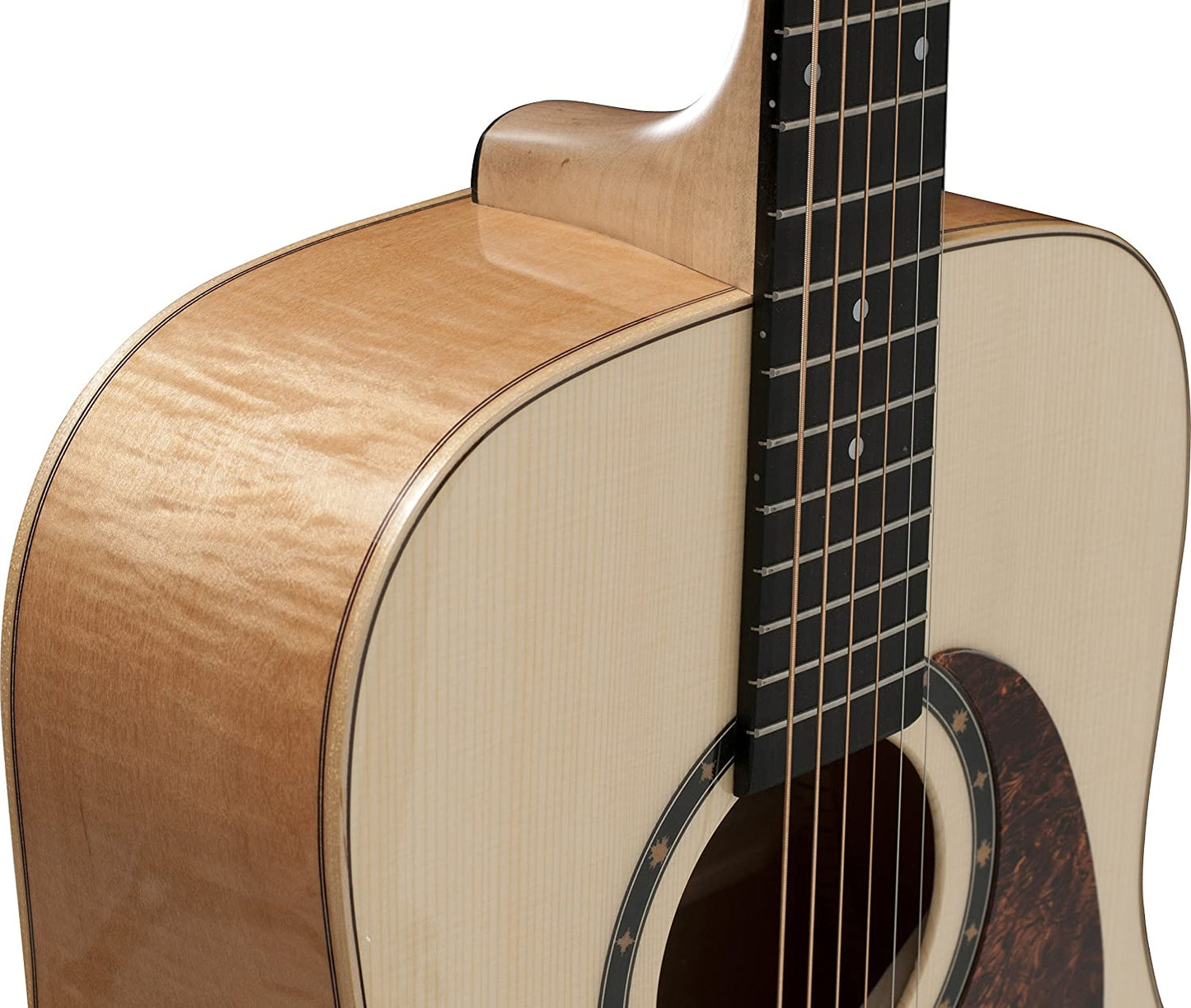 Norman Studio B50