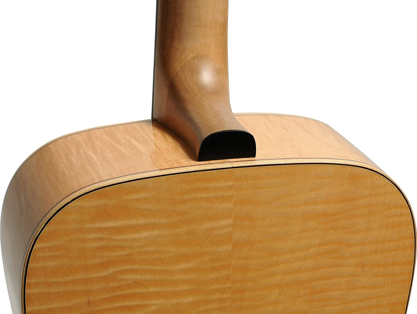 Norman Studio B50