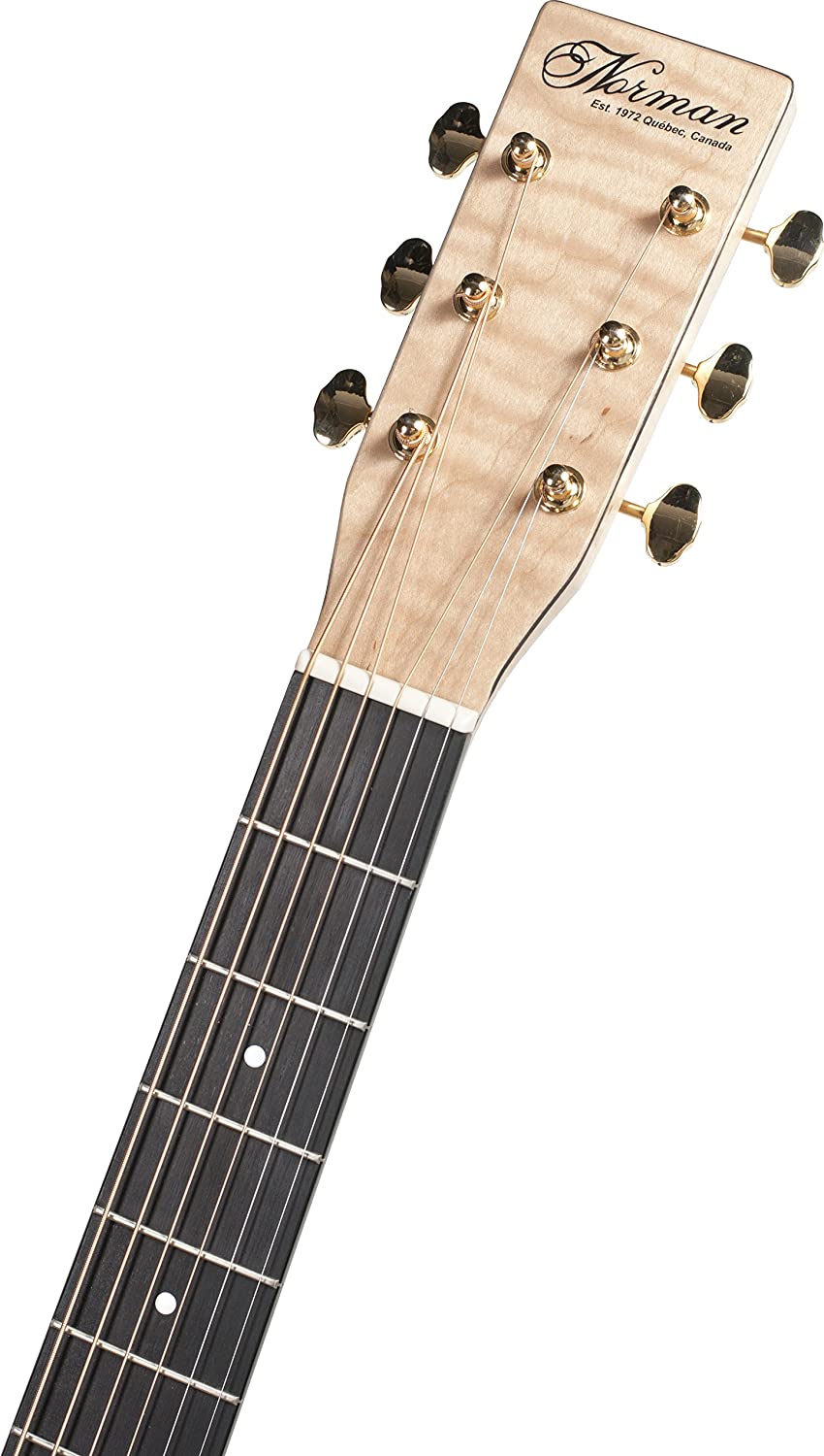 Norman Studio B50