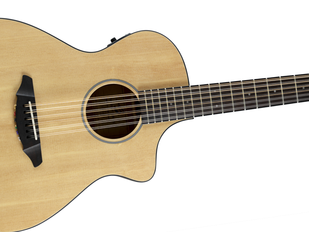 Breedlove Passport C250/SMe-12 12-string guitar