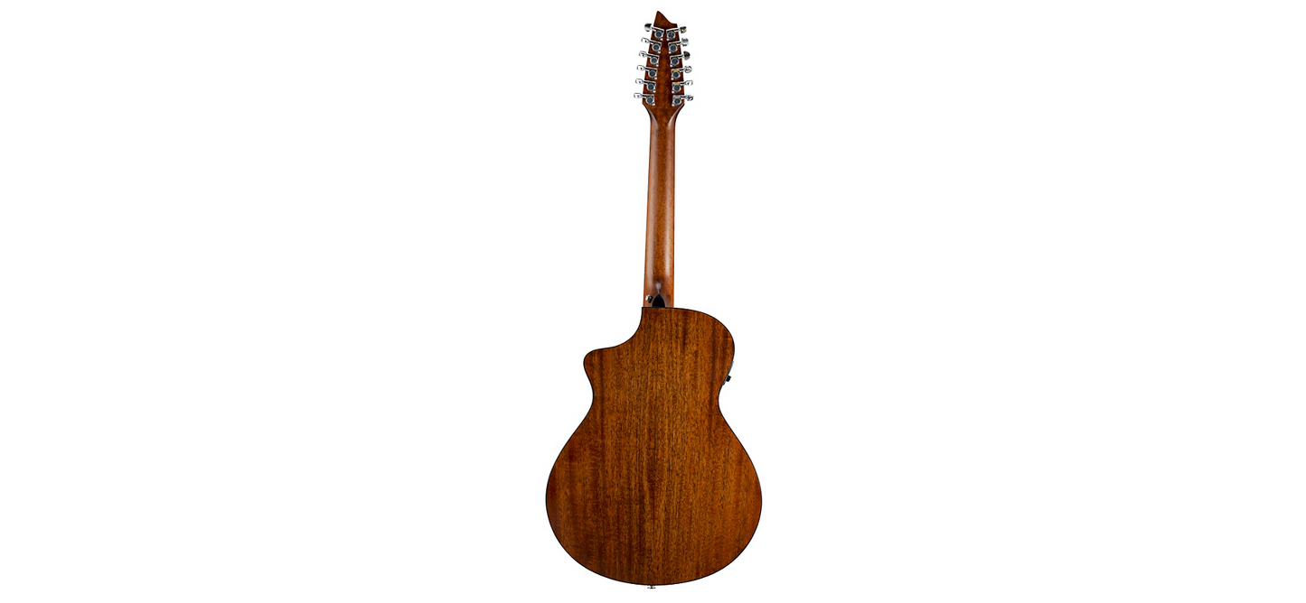 Breedlove Passport C250/SMe-12 12-string guitar
