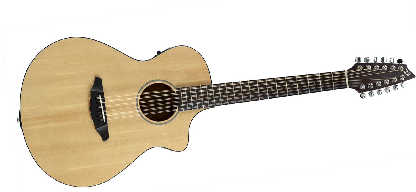 Breedlove Passport C250/SMe-12 12-string guitar