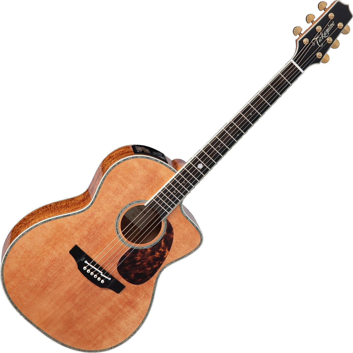 Takamine LTD2022