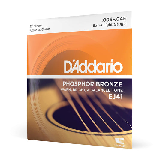 D'Addario 12 String Guitar EJ41