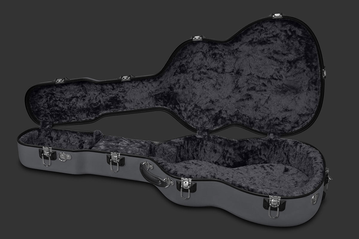 Washburn electric guitar case (on sale)