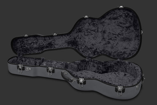 Washburn electric guitar case (on sale)