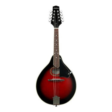 Alabama A style Arch Type Mandolin ALM18