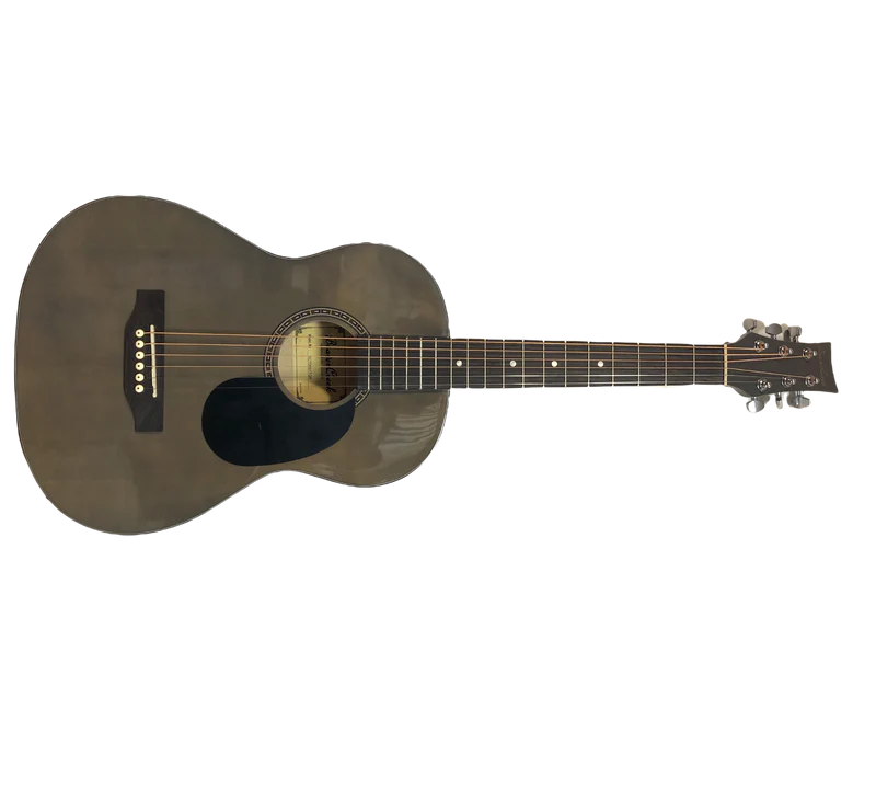 Beaver Creek 3/4 Dreadnought Trans Gray w/Case
