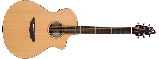 Breedlove Passport C250/CMe w/ bag