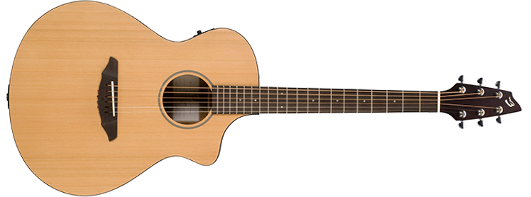 Breedlove Passport C250/CMe w/ bag