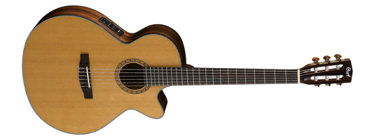 Cort Accoustic Guitar String