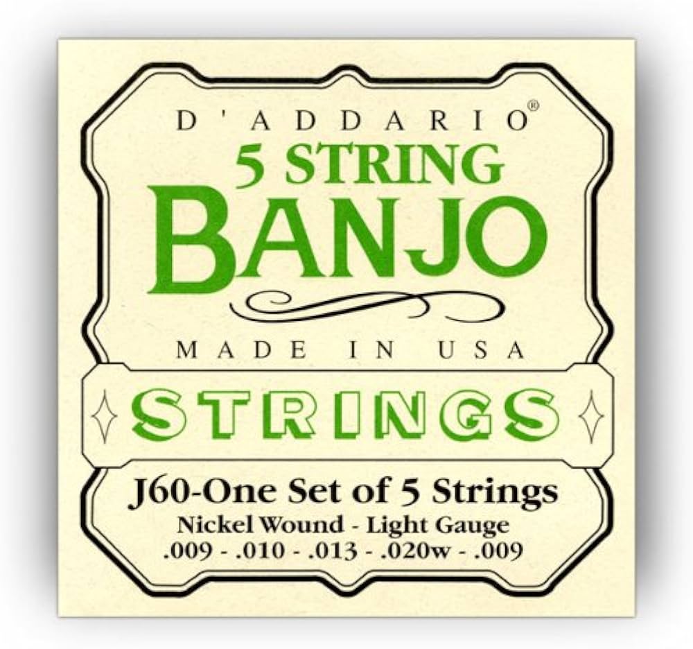 D'Addario J60 5-String Banjo