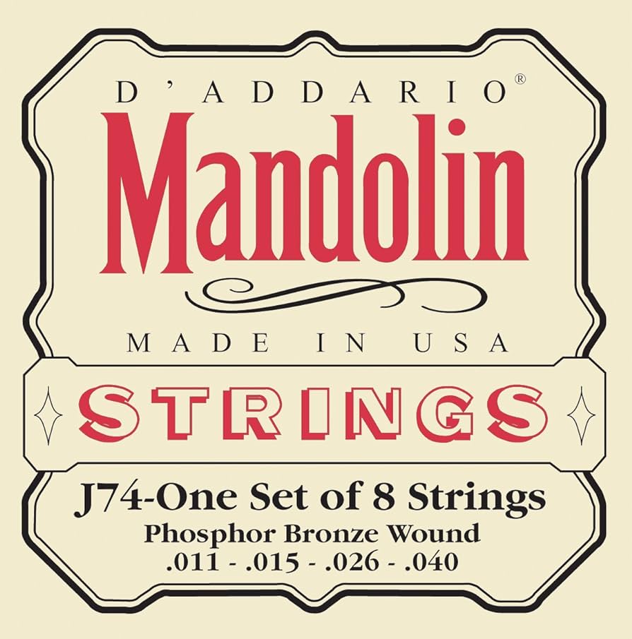 D'Addario Mandolin Strings  J74