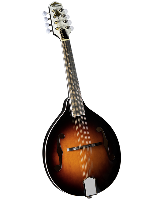 Flint Hill mandolin with case