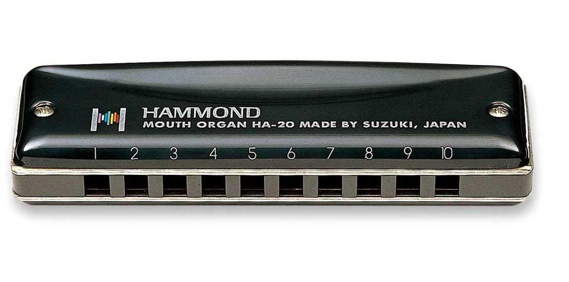 Hammond Harmonica D