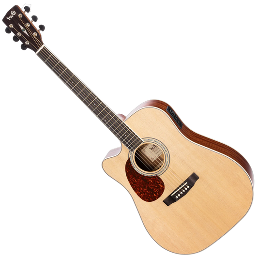 Cort Left Hand Guitar
