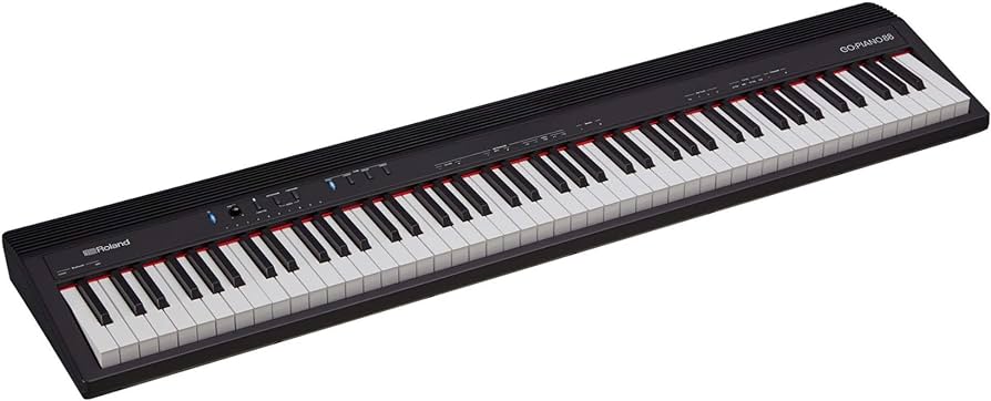 Roland GO 88P