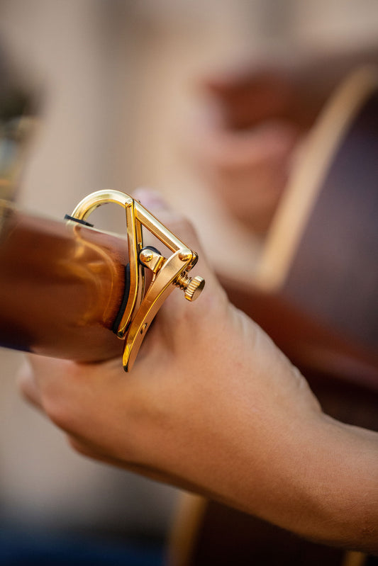 Shubb Capo Royale C1g Rose