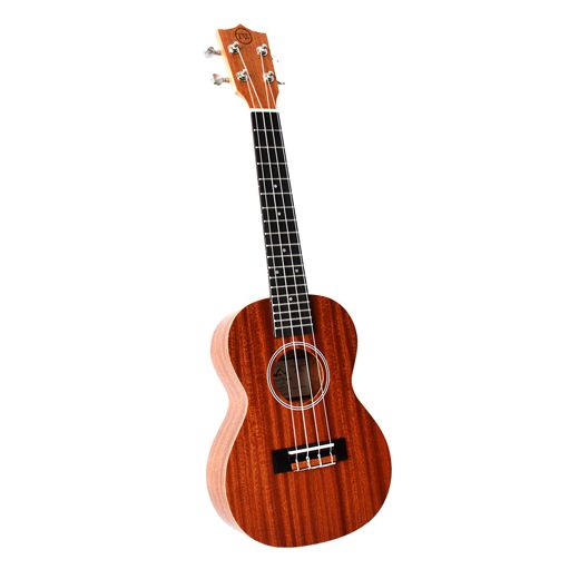TW Pioneer Concert Ukulele w/bag