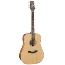 Takamine GD20  Dread Acoustic Guitar