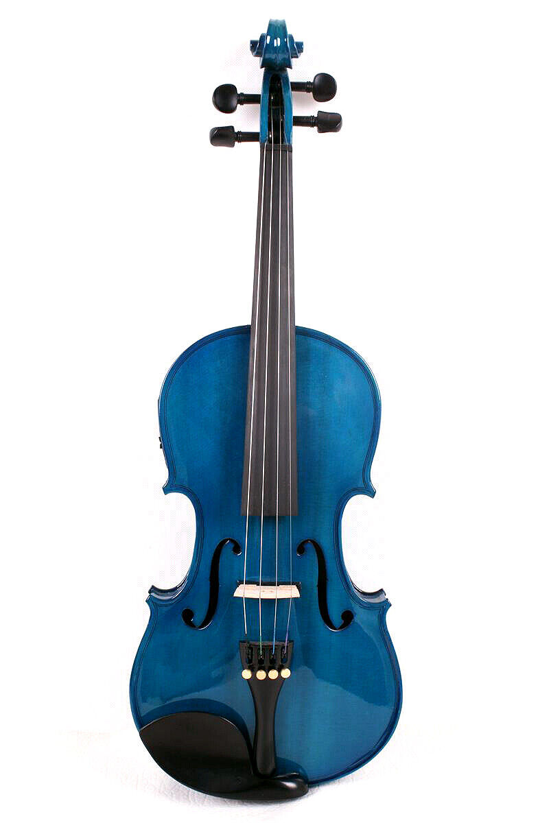 Violin Advanced-4/4 Case and Bow
