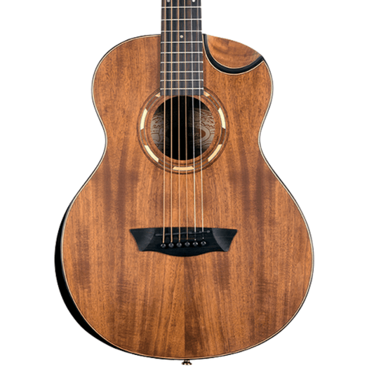 Washburn Mini with bag WCGM55K-D