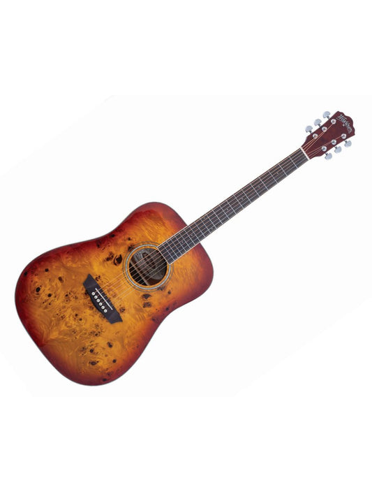 Washburn Ac Guitar DFBDA Deep Forest