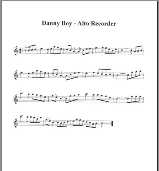 Music Boy  Recorder