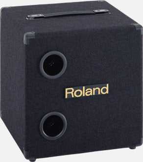 Roland KCW-1 subwoofer