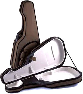 Tric Archtop guitar case