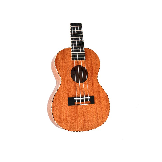 TW Original Concert Ukulele w/bag