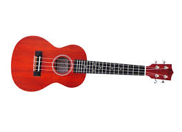 Twisted Wood Redford Concert Ukulele