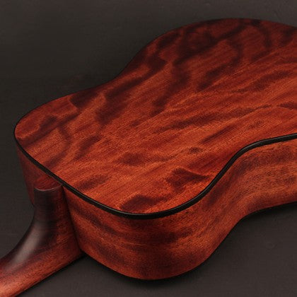 Cort Accoustic Guitar AF505