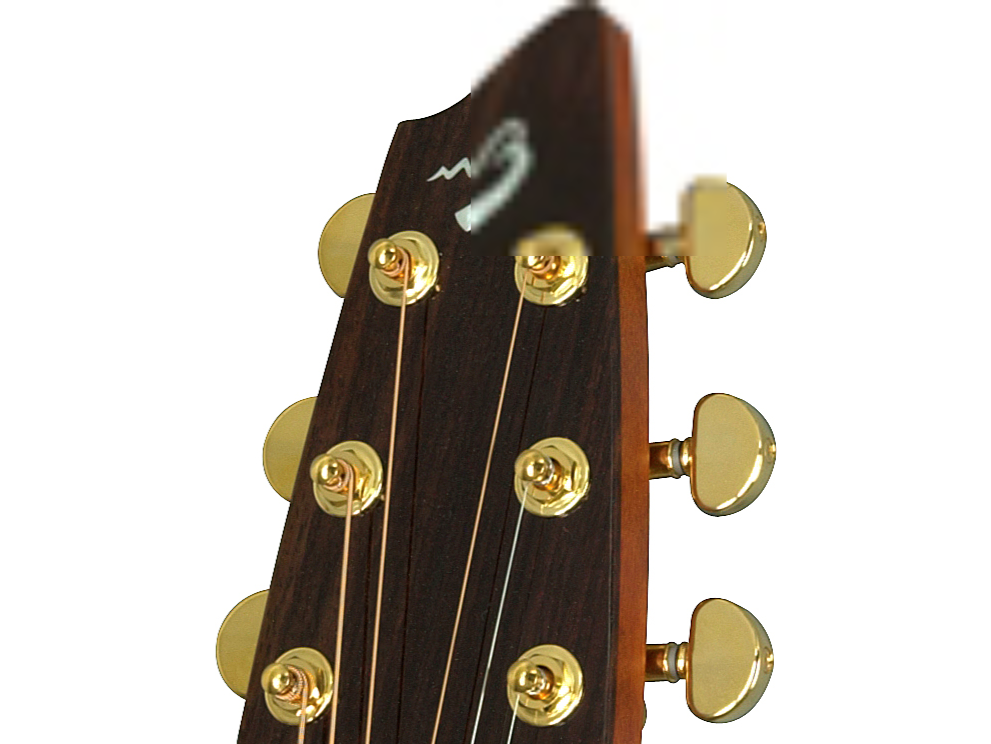 Breedlove Atlas AD20/SM